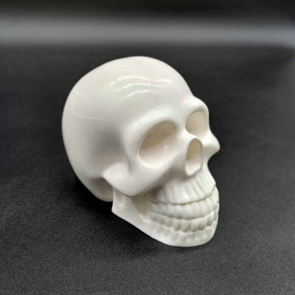 Skull résine époxy blanc opaque