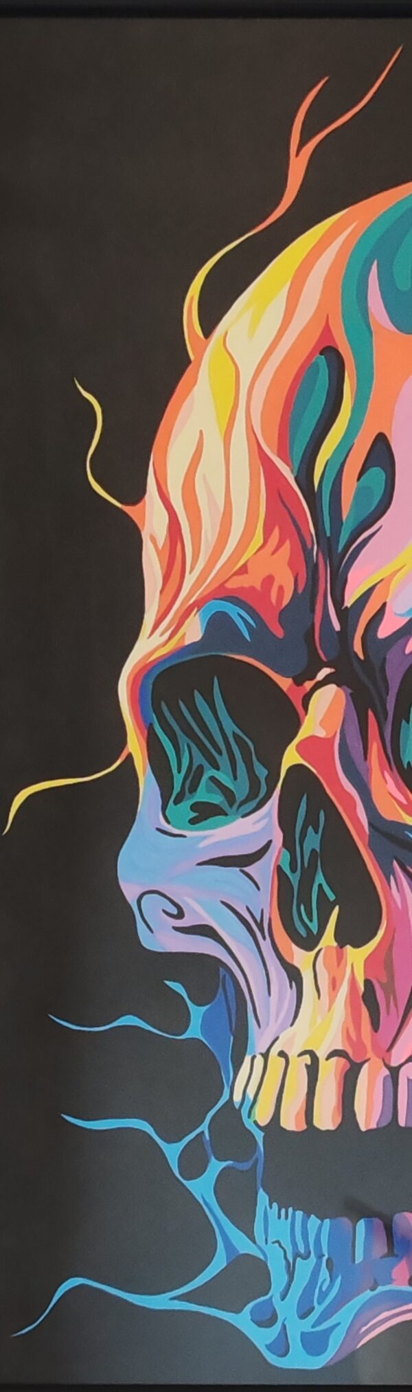 skull flammes multicolor