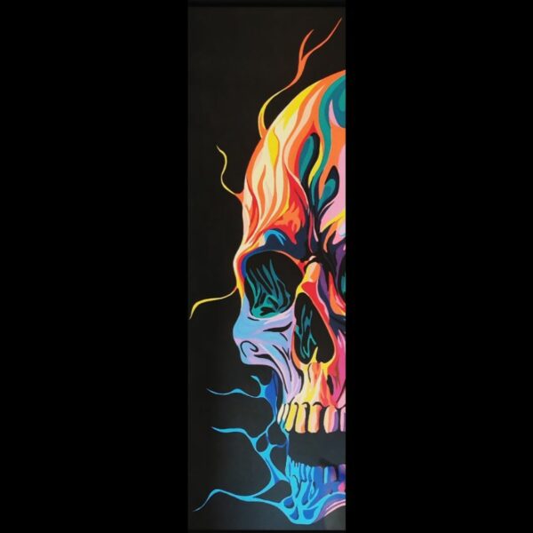 skull flammes multicolor
